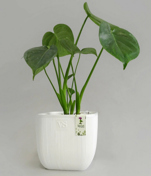 Горшок Фабио 4,7лит Белый 19х19х19см (с дренажной системой)