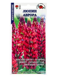 Цветы Люпин Аврора ЦВ/П (СОТКА) 0,3гр розовый многолетник 70см