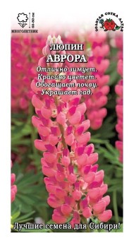 Цветы Люпин Аврора ЦВ/П (СОТКА) 0,3гр розовый многолетник 70см