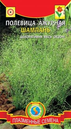 Цветы Полевица Шампань ажурная ЦВ/П (ПЛАЗМА) 100шт однолетник 20-30см Цветы Полевица Шампань ажурная ЦВ/П (ПЛАЗМА) 100шт однолетник 20-30см