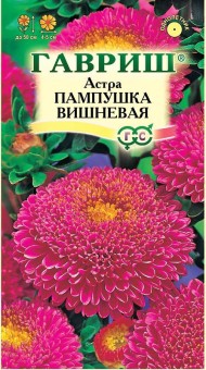 Цветы Астра Пампушка Вишнёвая ЦВ/П (ГАВРИШ) 0,3гр помпонная однолетник 50см