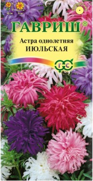 Цветы Астра Июльская смесь ЦВ/П (ГАВРИШ) 0,3гр однолетник до 40см