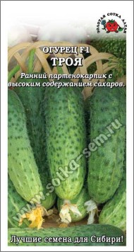 Огурец Троя F1 ЦВ/П (СОТКА) 0,3гр ранний партенокарпический