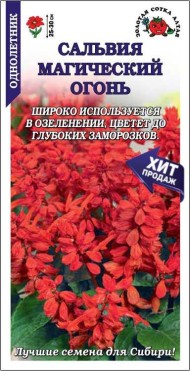 Цветы Сальвия Магический огонь ЦВ/П (СОТКА) 0,1гр однолетник 25-30см