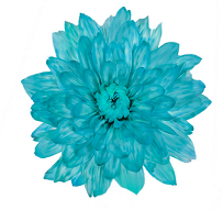 Краска для срезочных цветов 300мл Аквамарин Лотос 1уп/12шт