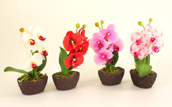 Орхидея в горшке №471