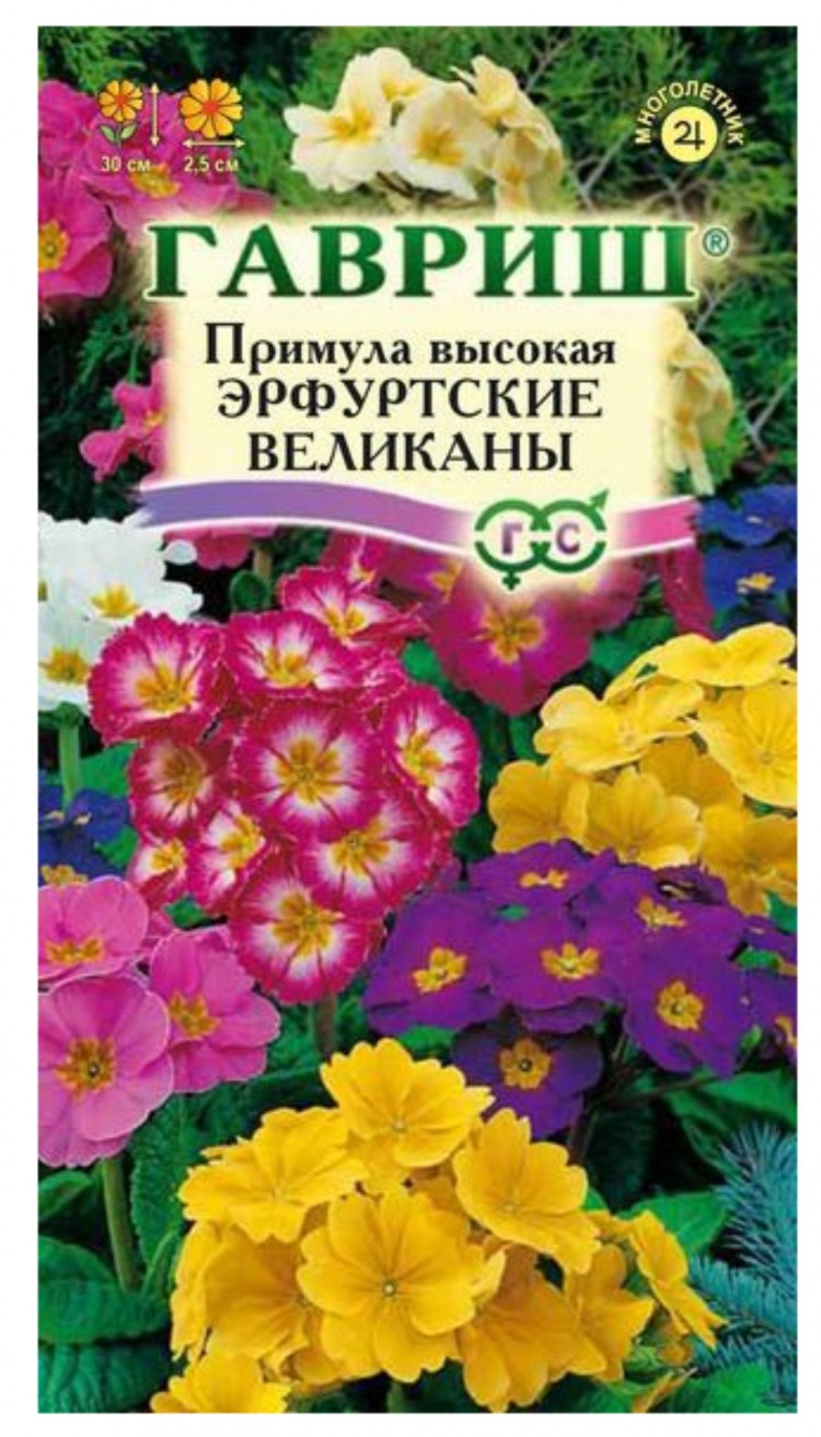 Купить Семена Цветов Многолетников Недорого