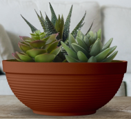 Горшок Миска Парма 225мм*2,7лит Терракот