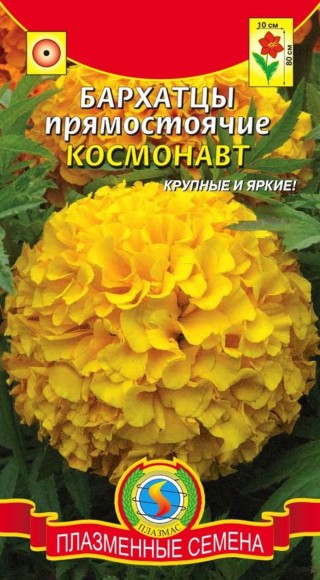 Цветы Бархатцы Космонавт ЦВ/П (ПЛАЗМА) 45шт однолетник до 80см