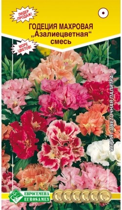 Цветы Годеция Азалиецветная ЦВ/П (ЕС) 0,3гр смесь однолетник 30-45см Цветы Годеция Азалиецветная ЦВ/П (ЕС) 0,3гр смесь однолетник 30-45см