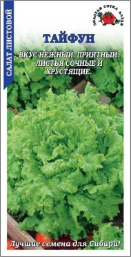 Салат Тайфун ЦВ/П (СОТКА) 0,5гр среднеспелый листовой