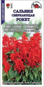 Цветы Сальвия Рокет Красная ЦВ/П (СОТКА) 0,1гр однолетник 35-40см