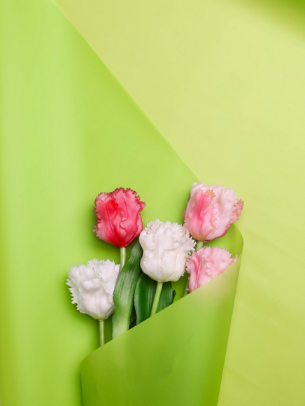 Пленка матовая однотонная Идеал Салатовая 60см/10м Пленка матовая однотонная Идеал Салатовая 60см/10м