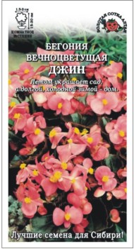Цветы Бегония вечноцветущая F1 Джин ЦВ/П (СОТКА) 5шт комнатное 15-20см Цветы Бегония вечноцветущая F1 Джин ЦВ/П (СОТКА) 5шт комнатное 15-20см
