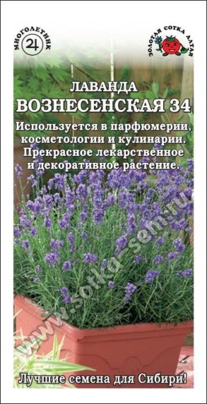 Пряность Лаванда Вознесенская ЦВ/П (СОТКА) 0,1гр многолетник