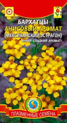 Цветы Бархатцы Анисовый аромат ЦВ/П (ПЛАЗМА) 50-60см
