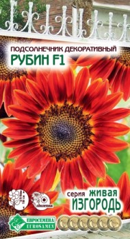 Цветы Подсолнечник Рубин F1 ЦВ/П (ЕС) 5шт однолетник до 1,9м