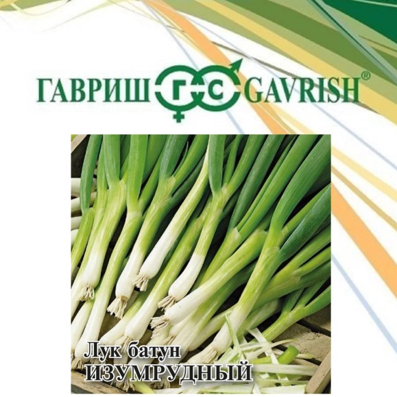 Лук батун 10гр Изумрудный ЦВ/П (ГАВРИШ) раннеспелый