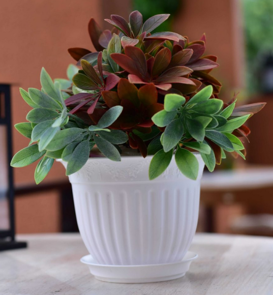 Горшок Виноград 0,5лит D-13см Белый с поддоном