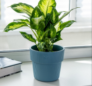 Горшок Алемар 2,4лит Бирюза (с дренажной системой)