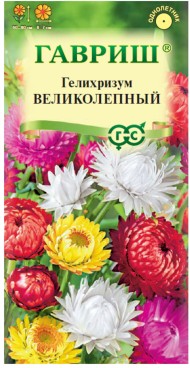 Цветы Гелихризум Великолепный Смесь ЦВ/П (ГАВРИШ) 0,1гр однолетник сухоцвет 60-80см