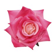 Бутон Розы Малиново-Желтый Цена за 1шт Бутон Розы Малиново-Желтый Цена за 1шт