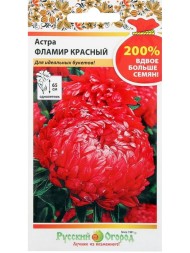 Цветы Астра Фламир Красный ЦВ/П (РУССКИЙ ОГОРОД) 0,5гр однолетник 65см