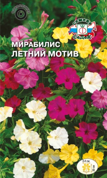 Цветы Мирабилис Летний Мотив ЦВ/П (СЕДЕК) 1гр однолетник 30см