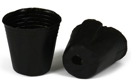 Набор горшков Рассадных полиэтилен Greengo 70мл*50шт (50мкм) Арт-9703541 Набор горшков Рассадных полиэтилен Greengo 70мл*50шт (50мкм) Арт-9703541