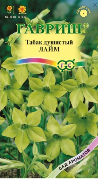Цветы Табак Душистый Лайм крылатый ЦВ/П (ГАВРИШ) 0,1гр однолетник 60-70см