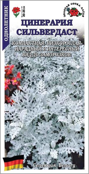 Цветы Цинерария Сильвер Даст ЦВ/П (СОТКА) 10шт однолетник 20-25см Цветы Цинерария Сильвер Даст ЦВ/П (СОТКА) 10шт однолетник 20-25см