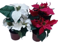 Пуансетия в горшке Искусственая 26см Арт-08201586
