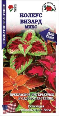 Цветы Колеус Визард Микс ЦВ/П (СОТКА) 10шт комнатное 30-35см