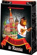 Сумочка пакет картон 180*227*100мм Арт-10-30-163 M