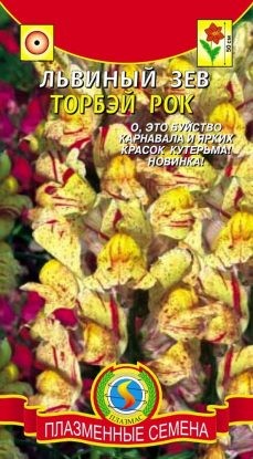Цветы Львиный Зев Торбей рок ЦВ/П (ПЛАЗМА) 0,05гр смесь однолетник 50см Цветы Львиный Зев Торбей рок ЦВ/П (ПЛАЗМА) 0,05гр смесь однолетник 50см