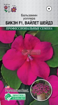 Цветы Бальзамин Уоллера F1 Бикэн Вайлет Шейдс ЦВ/П (ЕС) 5шт однолетник 25-30см