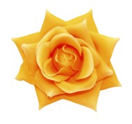 Бутон Розы Оранжевый Цена за 1шт Бутон Розы Оранжевый Цена за 1шт