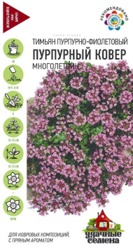 Пряность Тимьян Пурпурный ковер ЦВ/П (ГАВРИШ) серия УДС 0,03гр многолетник