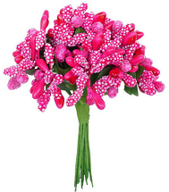 Набор Тычинки для искусственных цветов Малиновые 12шт