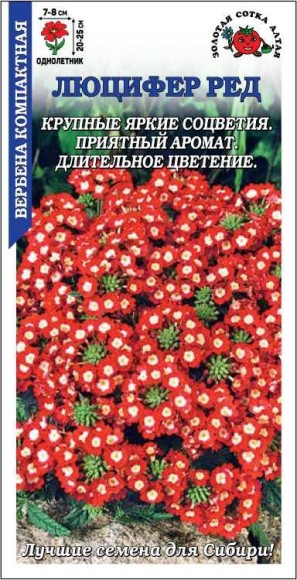 Цветы Вербена Люцифер Ред ЦВ/П (СОТКА) 0,05гр однолетник 20-25см