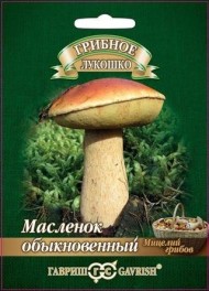 Грибы Маслёнок на зерновом субстрате (ГАВРИШ) 15мл
