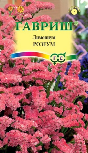 Цветы Кермек Выемчатый Розеум ЦВ/П (ГАВРИШ) 0,05гр однолетник сухоцвет до 60см