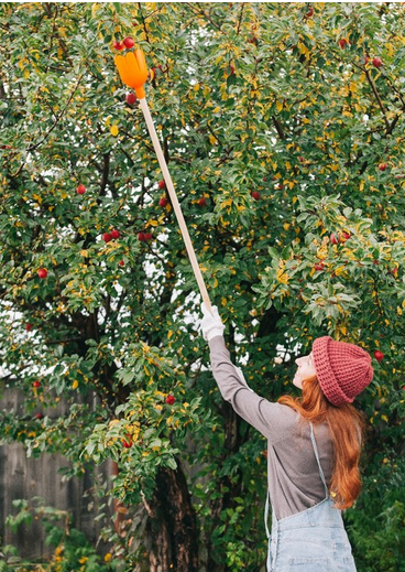 Плодосборник Greengo d=11см металл черенок 120-180см Арт-710612 Плодосборник Greengo d=11см металл черенок 120-180см Арт-710612