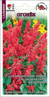 Цветы Сальвия Огонек ЦВ/П (СОТКА) 0,1гр однолетник 75-80см