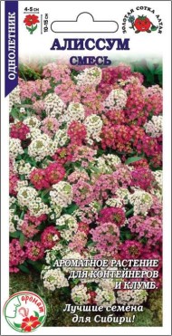 Цветы Алиссум Смесь ЦВ/П (СОТКА) 0,1гр однолетник 10-15см