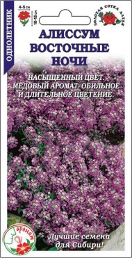 Цветы Алиссум Восточные ночи ЦВ/П (СОТКА) 1гр однолетник 15-20см