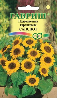 Цветы Подсолнечник Санспот карликовый ЦВ/П (ГАВРИШ) 0,5гр однолетник 40см