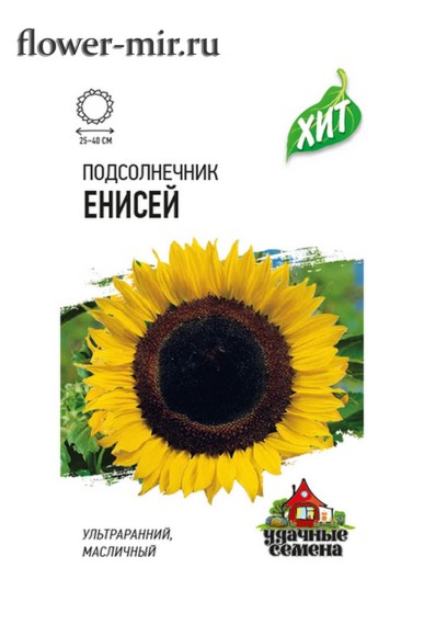 Подсолнечник на семечки Енисей ЦВ/П (ГАВРИШ) 5гр раннеспелый