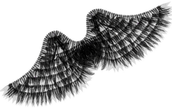 Крылья Ангела Чёрные 74*27см КРК-7038