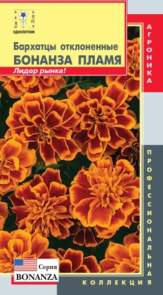 Цветы Бархатцы Бонанза Тёмно Оранжевые ЦВ/П (ПЛАЗМА) 10шт однолетник 25-30см